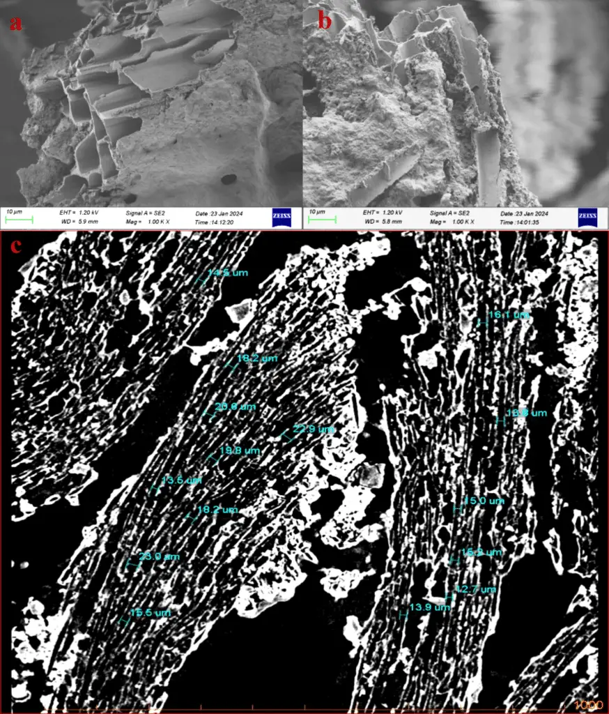 Seta millenaria: scoperto in cina un frammento di 3000 anni