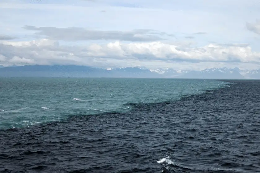 Salinità dell'oceano: 5 cambiamenti dovuti al clima