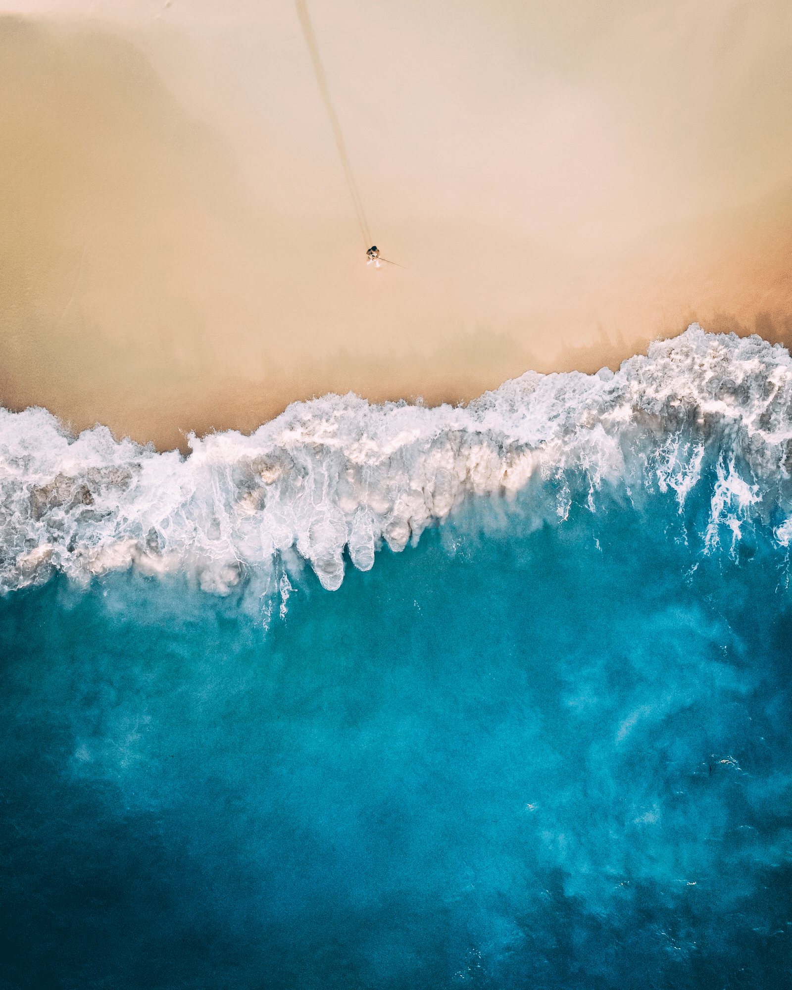 Acidificazione degli oceani: gli esperimenti rapidi esagerano gli effetti? %acidificazione degli oceani: gli esperimenti rapidi esagerano gli effetti? Count(title)% Oceano e variazioni delle sue proprietà chimiche