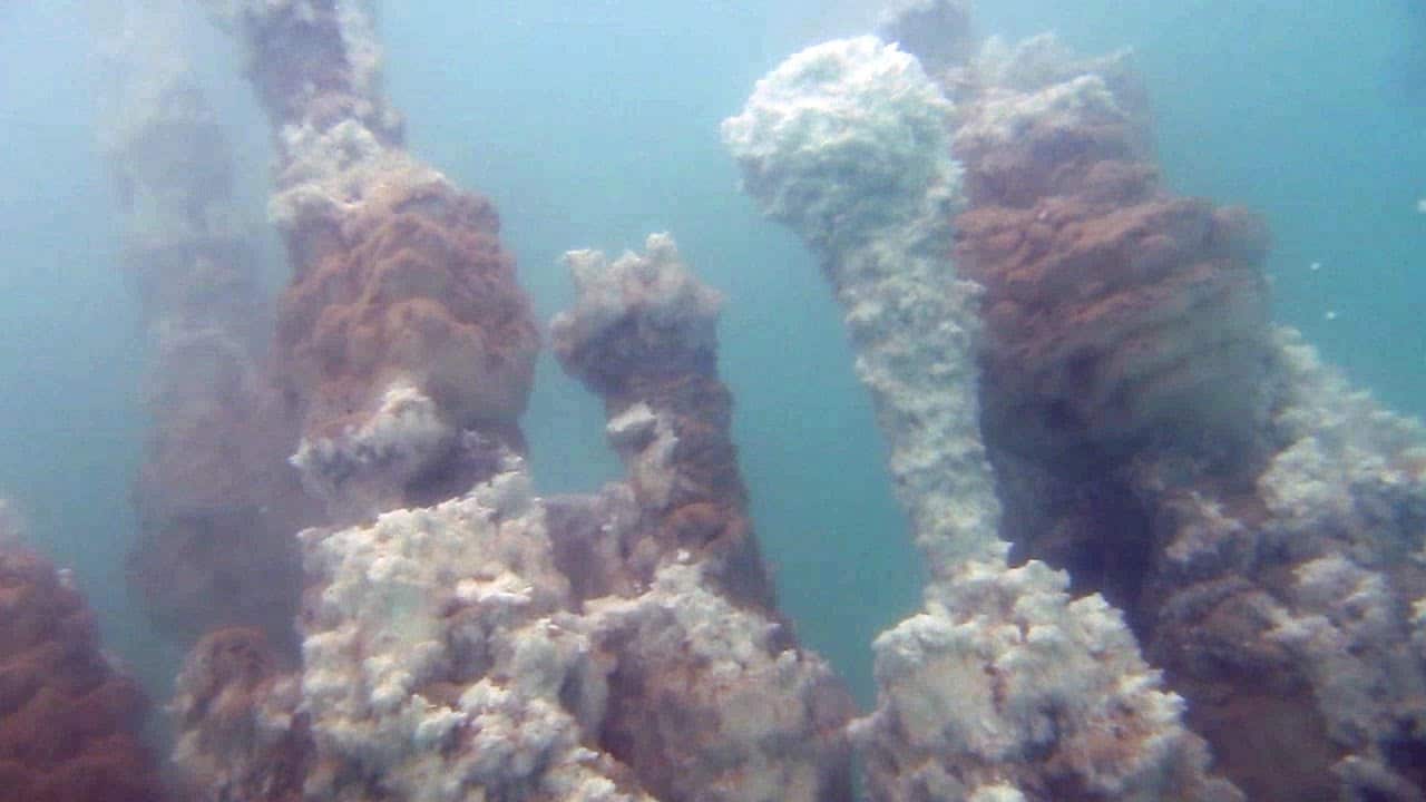 Fumarole bianche