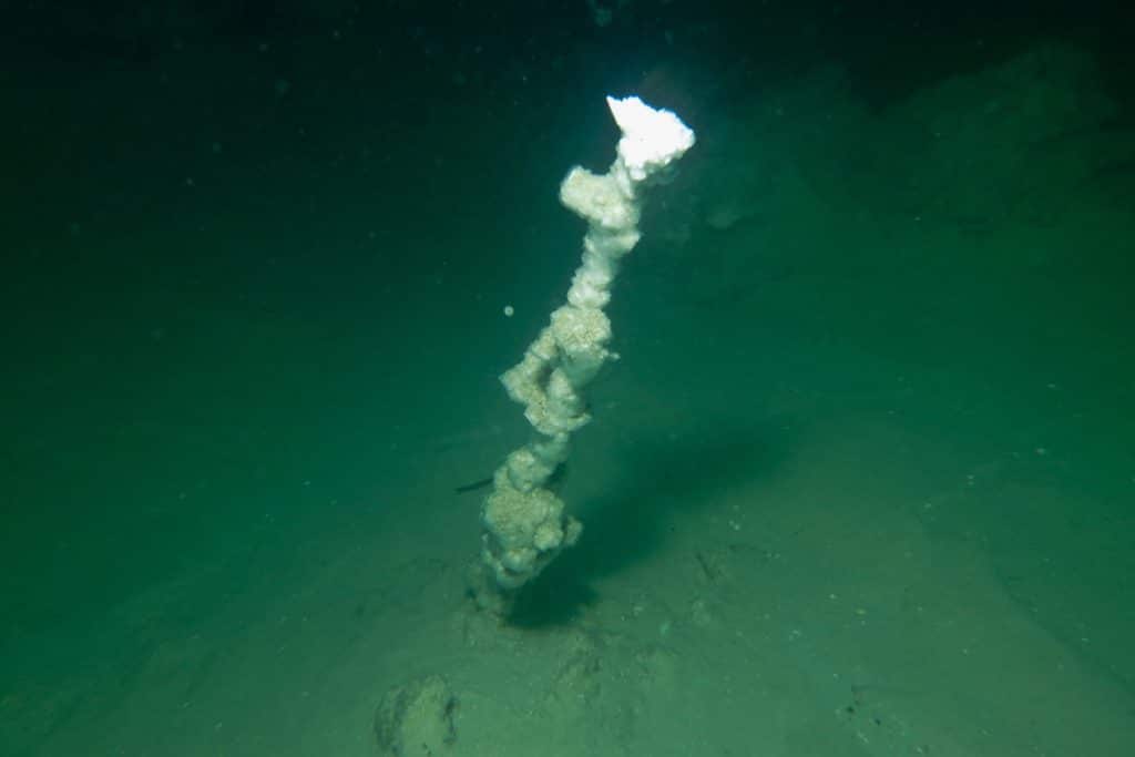 Le fumarole bianche scoperte sul fondo del mar morto