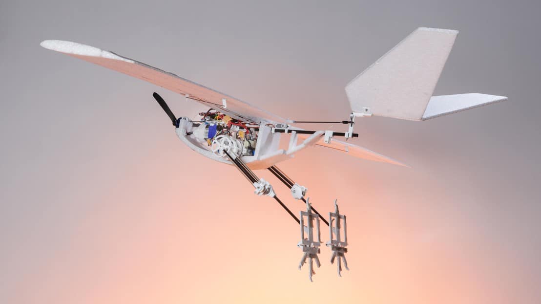 Drone