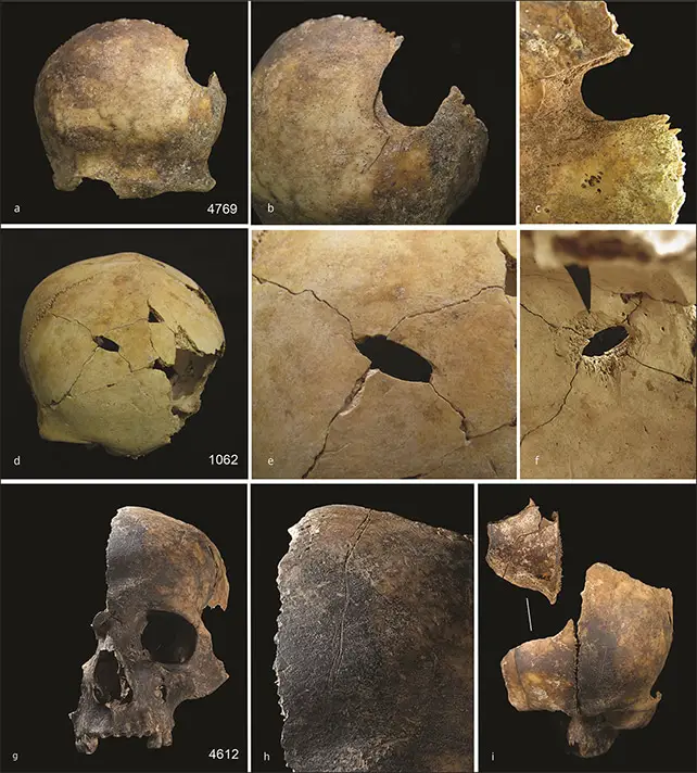 Charterhouse warren: gli inglesi dell'età del bronzo mangiavano i loro nemici - foto