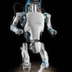 Boston dynamics licenzia dipendenti: problemi finanziari per l’azienda dei robot?