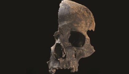 Charterhouse warren: gli inglesi dell'età del bronzo mangiavano i loro nemici - foto