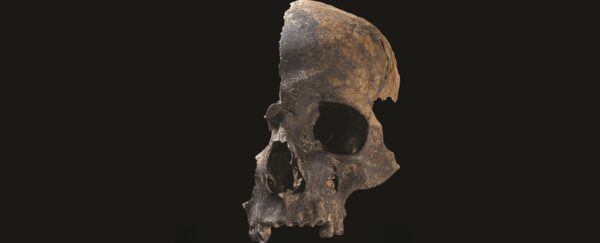 Charterhouse warren: gli inglesi dell'età del bronzo mangiavano i loro nemici - foto