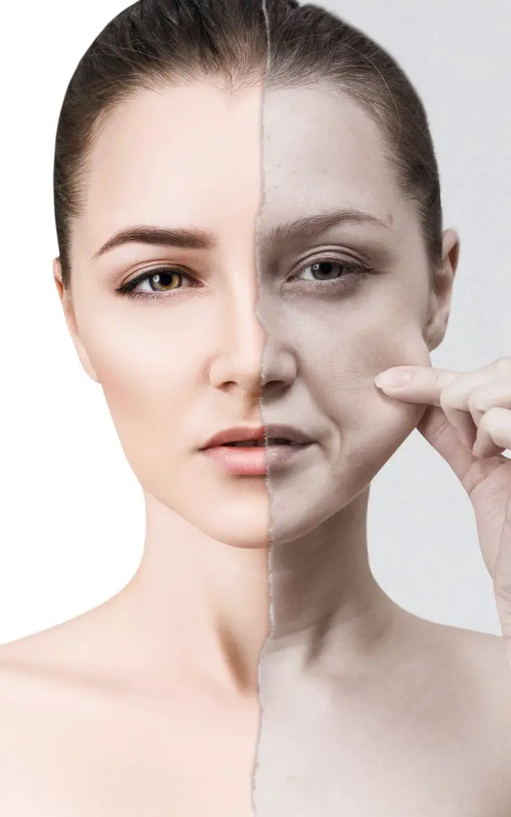 La pelle e il suo sorprendente sistema