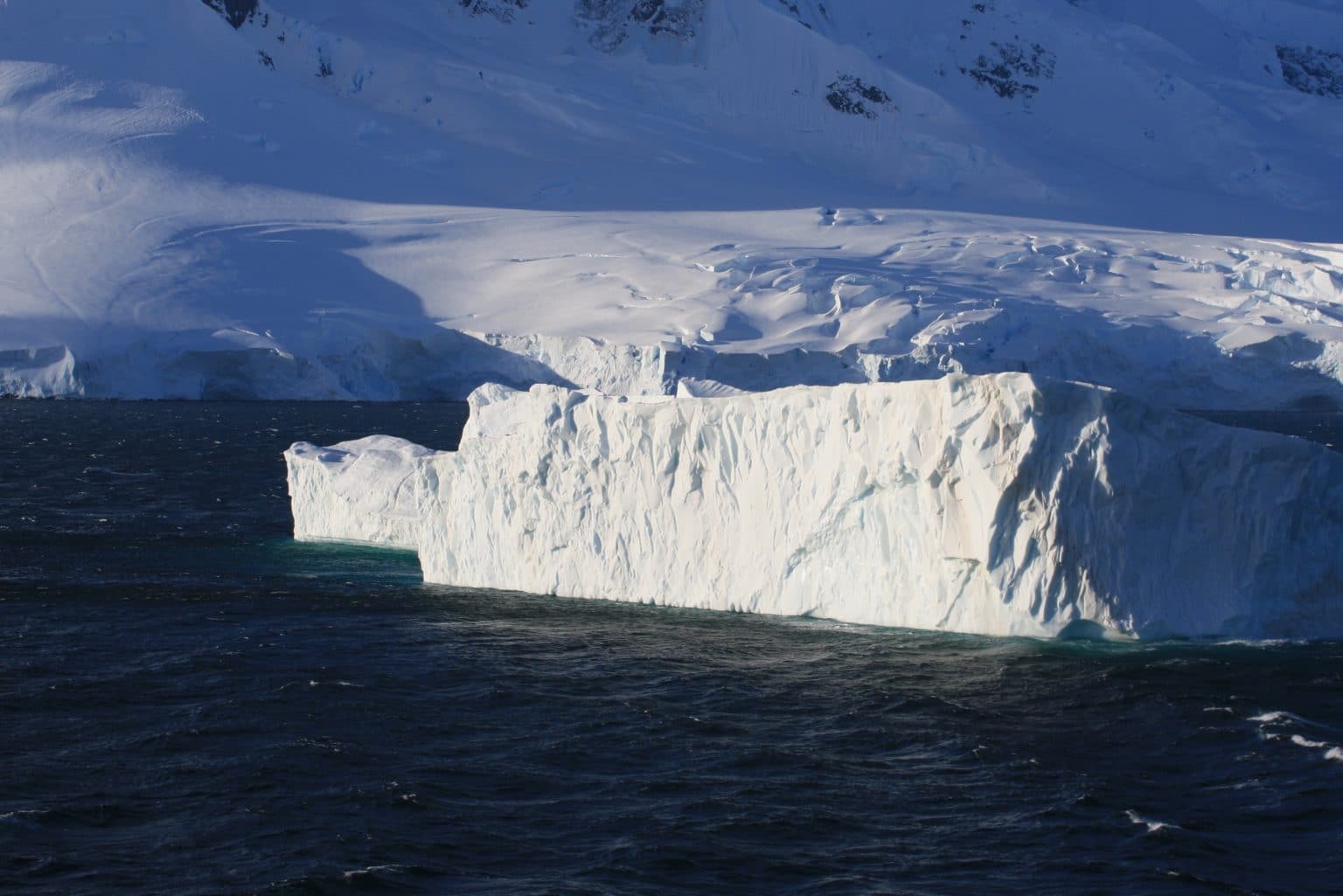Calotta glaciale
