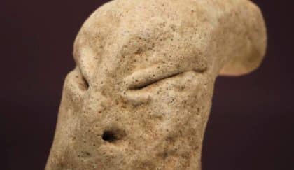 Ritrovata testa uomo-serpente di 4. 500 anni fa: la chiave inquietante per comprendere i nostri antenati -foto