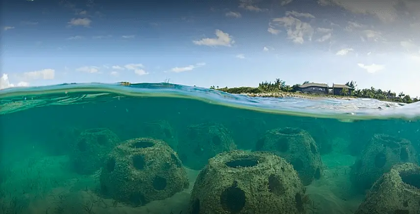 Eternal reefs: un nuovo modo di sepoltura dei tuoi cari che protegge il mare