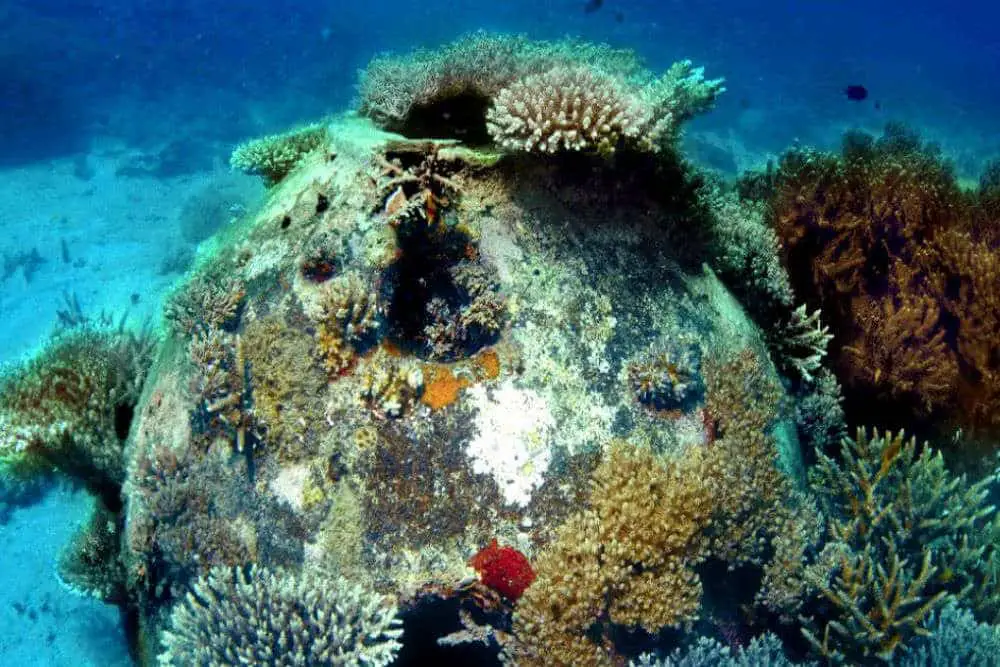 Eternal reefs: un nuovo modo di sepoltura dei tuoi cari che protegge il mare