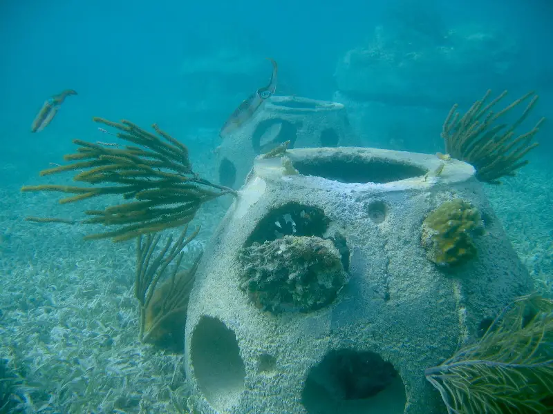 Eternal reefs: un nuovo modo di sepoltura dei tuoi cari che protegge il mare