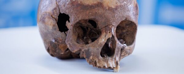 Il cranio di efeso rivela un segreto inaspettato sulla vita di cleopatra