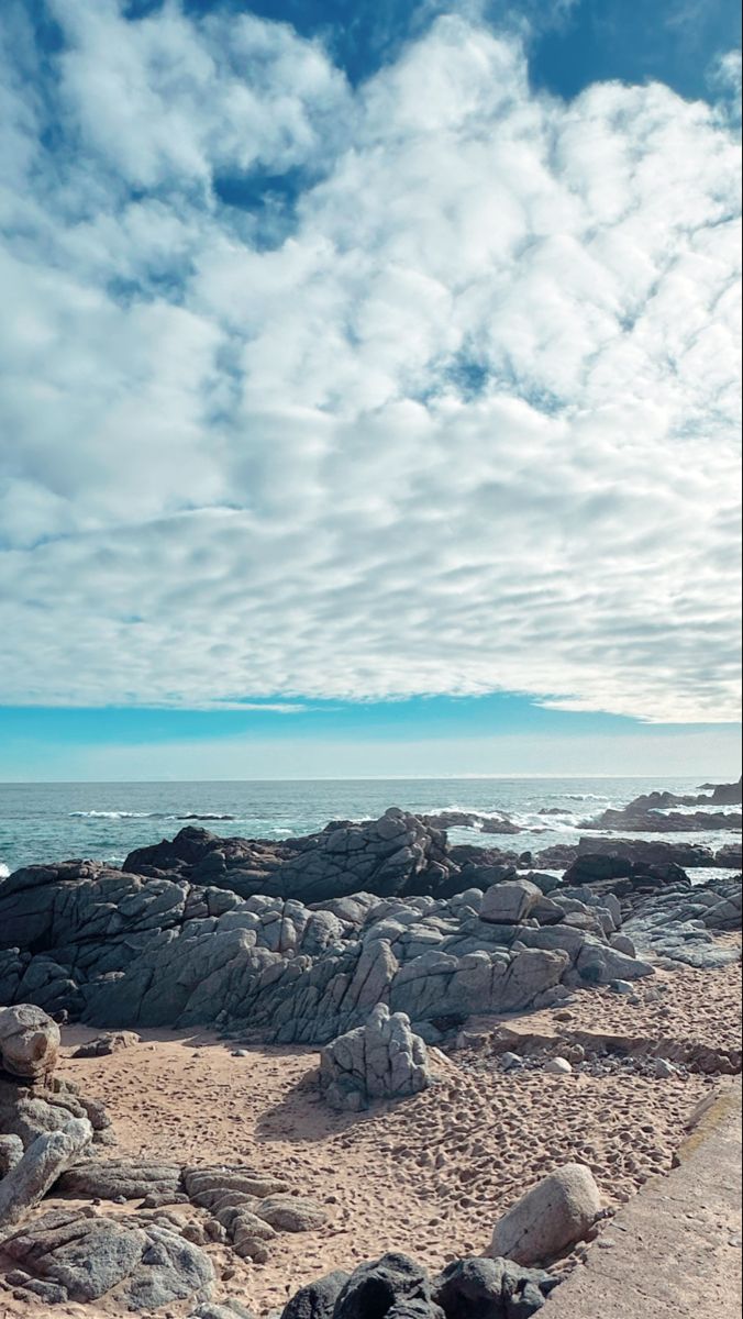 Oceano artico