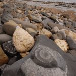 Fossili sulle alpi: sopravvivono a 100 km di profondità e riscrivono la storia geologica %fossili sulle alpi: sopravvivono a 100 km di profondità e riscrivono la storia geologicacount(title)% Fossili sulle alpi: sopravvivono a 100 km di profondità e riscrivono la storia geologica