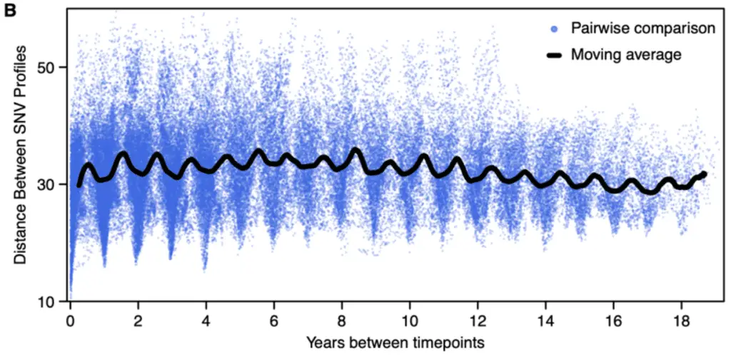 Specie batteriche che si evolvono in un "ciclo infinito"