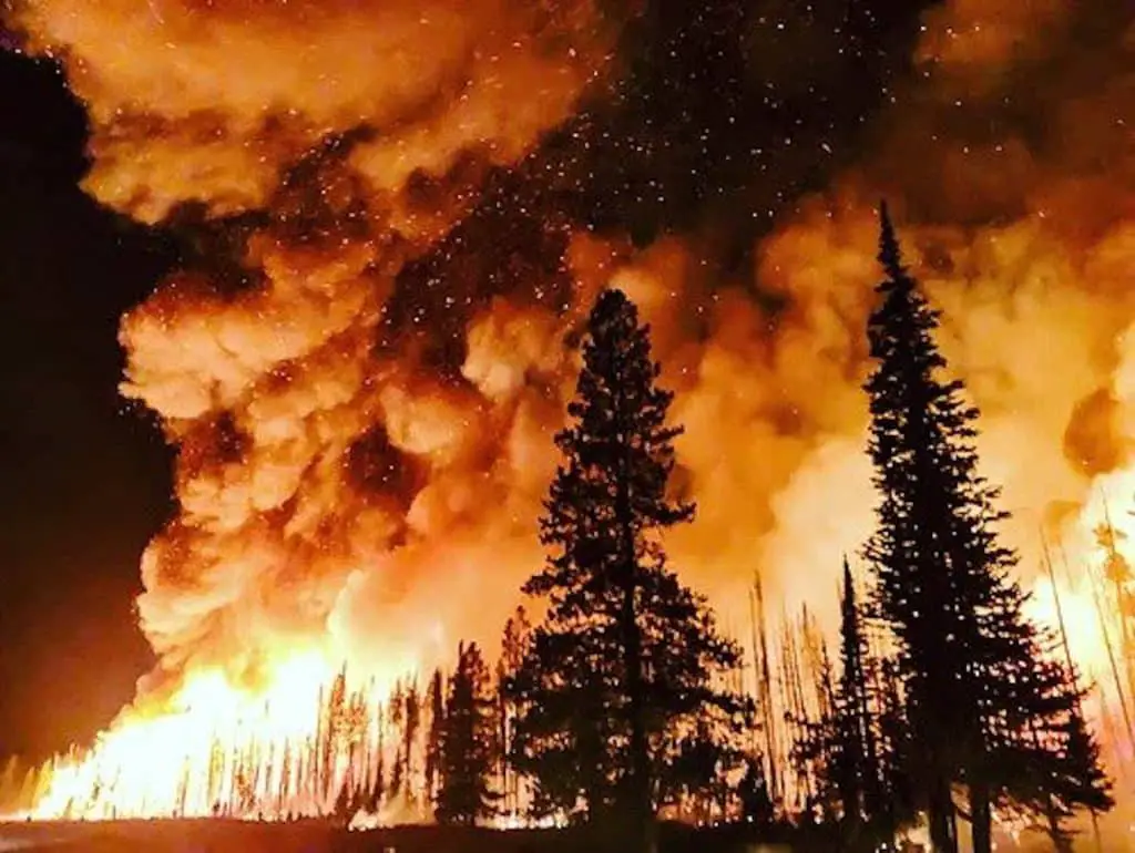 Incendi boschivi: un segno di passati cambiamenti climatici?