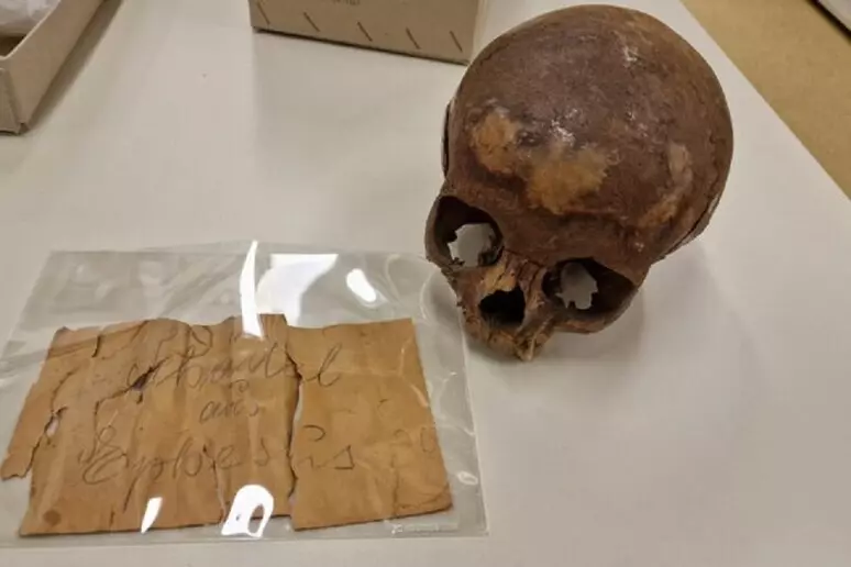 Cranio di arsinoe iv? In realtà apparteneva a un ragazzo italiano