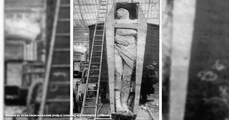 Gigante di cardiff: 1869, un gigante emerge e la storia cambia