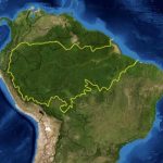 I primi dinosauri potrebbero essere nascosti in amazzonia: una scoperta ancora da fare