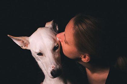 Gli animali che vedono il mondo in modi incredibili