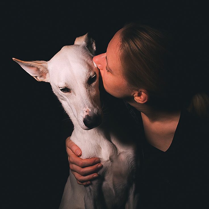 Gli animali che vedono il mondo in modi incredibili