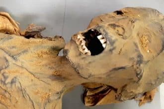 9 la mumia: la pratica macabra del 1200 di curarsi mangiando morti