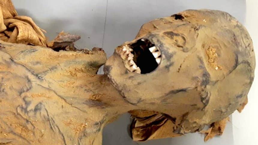 9 la mumia: la pratica macabra del 1200 di curarsi mangiando morti