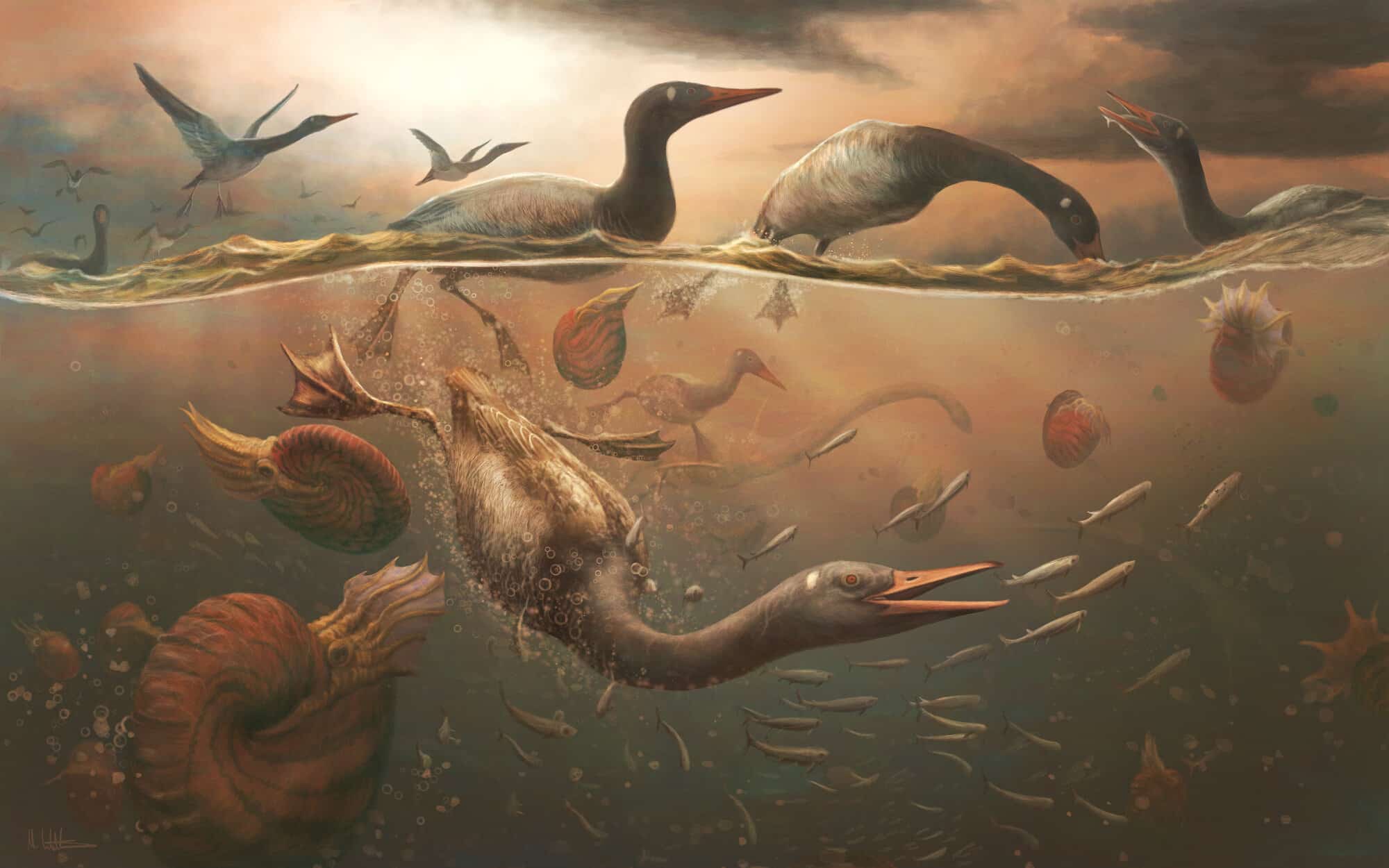 Fossile del cretaceo svela il primo uccello moderno %fossile del cretaceo svela il primo uccello modernocount(title)% Fossile antartide