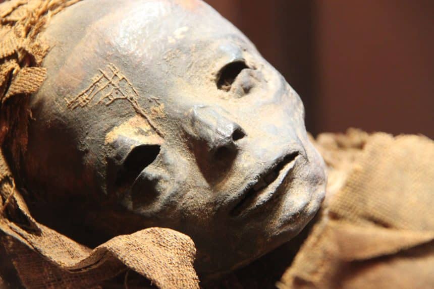 9 mummie egizie emanano un inatteso e gradevole profumo che svela un antico segreto sulle loro origini