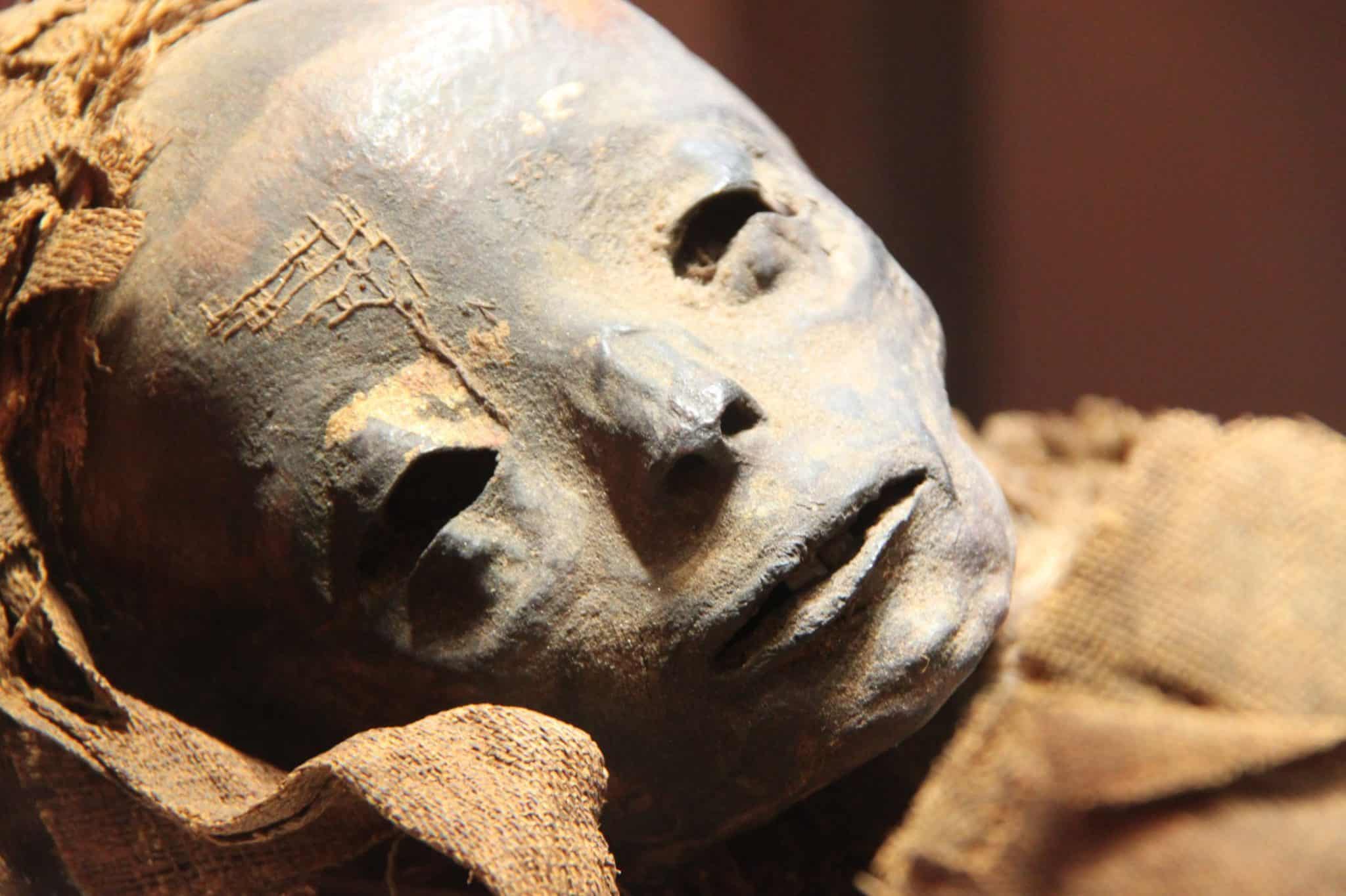 9 mummie egizie emanano un inatteso e gradevole profumo che svela un antico segreto sulle loro origini