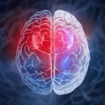 Scoperto nel cervello il circuito che placa l’ansia: nuova speranza per anoressia e bulimia? %scoperto nel cervello il circuito che placa l’ansia: nuova speranza per anoressia e bulimia? Count(title)% Scoperto nel cervello il circuito che placa l’ansia: nuova speranza per anoressia e bulimia?