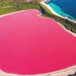 Perché alcuni laghi diventano rosa? Il fenomeno naturale che lascia senza parole