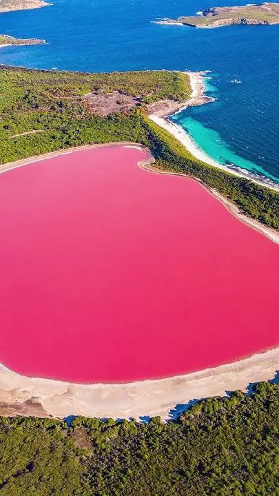 Perché alcuni laghi diventano rosa? Il fenomeno naturale che lascia senza parole