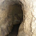 Carbonio nel suolo: il muco dei microbi conta quanto le cellule morte? %carbonio nel suolo: il muco dei microbi conta quanto le cellule morte? Count(title)% Carbonio nel suolo: il muco dei microbi conta quanto le cellule morte?