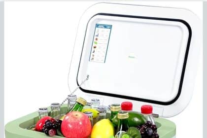 Bingi frigorifero portatile 18l: freschezza al top, prezzo shock su amazon!