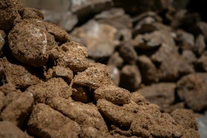 Rocce terremoti
