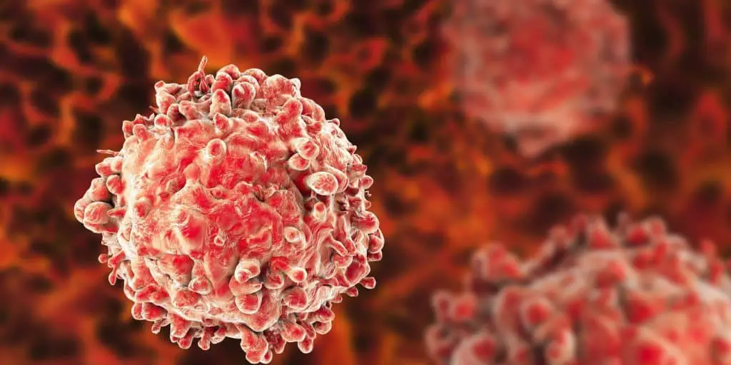 Leucemia: una sostanza presente nelle bevande energetiche alimenta le cellule leucemiche %leucemia: una sostanza presente nelle bevande energetiche alimenta le cellule leucemichecount(title)% Leucemia: una sostanza presente nelle bevande energetiche alimenta le cellule leucemiche