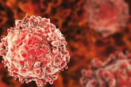 I neuroni manipolati dalle cellule tumorali nutrono la loro proliferazione