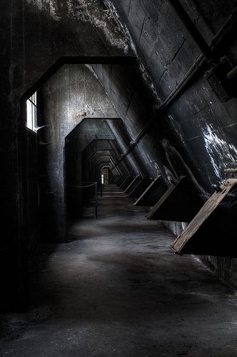 Il capo scienziato di openai voleva costruire un bunker prima di lanciare l’agi. Non è uno scherzo %il capo scienziato di openai voleva costruire un bunker prima di lanciare l’agi. Non è uno scherzocount(title)% Bunker