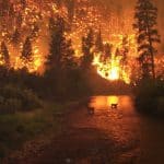 cambiamento climatico incendi
