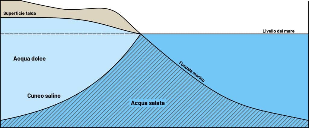 Che fine ha fatto il cuneo salino? Quando il mare risaliva il po per colpa della siccità %che fine ha fatto il cuneo salino? Quando il mare risaliva il po per colpa della siccitàcount(title)% Cuneo salino