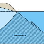 Che fine ha fatto il cuneo salino? Quando il mare risaliva il po per colpa della siccità