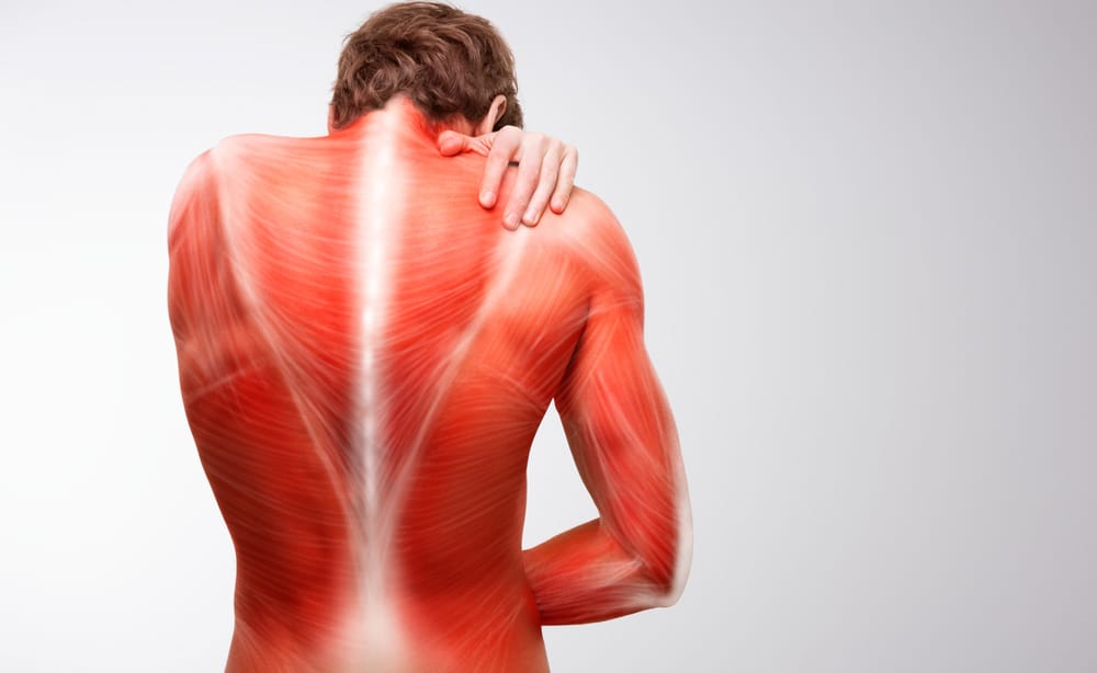 Fibromialgia: top 5 delle terapie più innovative ed efficaci %fibromialgia: top 5 delle terapie più innovative ed efficacicount(title)% Fibromialgia: top 5 delle terapie più innovative ed efficaci