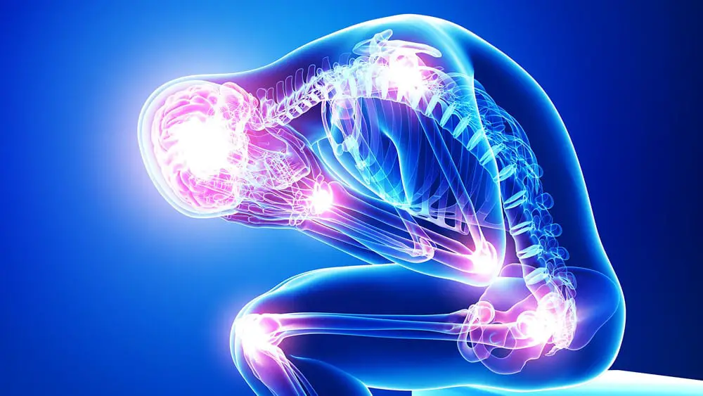 Fibromialgia: top 5 delle terapie più innovative ed efficaci %fibromialgia: top 5 delle terapie più innovative ed efficacicount(title)% Fibromialgia: top 5 delle terapie più innovative ed efficaci