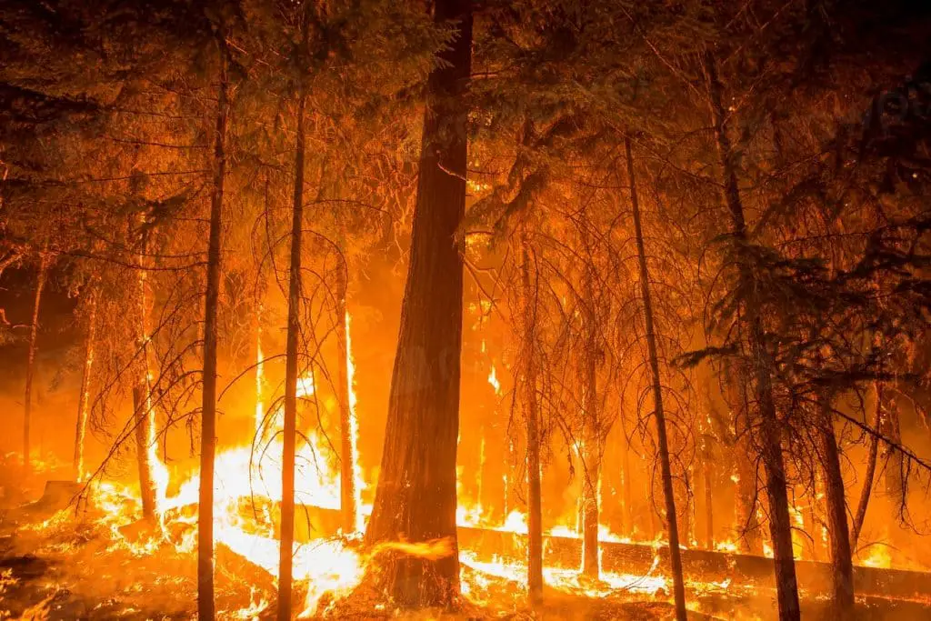 Il cambiamento climatico ha causato 15. 000 morti in più negli usa a causa del fumo da incendi, secondo uno studio %il cambiamento climatico ha causato 15. 000 morti in più negli usa a causa del fumo da incendi, secondo uno studiocount(title)% Il cambiamento climatico ha causato 15. 000 morti in più negli usa a causa del fumo da incendi, secondo uno studio