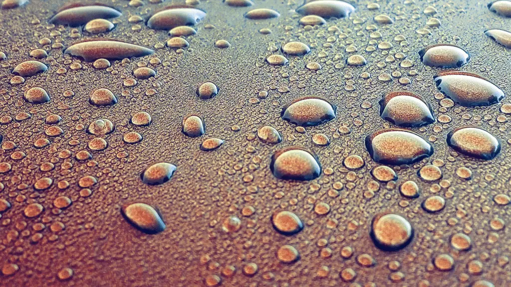 Una scoperta accidentale potrebbe rivoluzionare la raccolta d’acqua e il raffreddamento passivo %una scoperta accidentale potrebbe rivoluzionare la raccolta d’acqua e il raffreddamento passivocount(title)% Una scoperta accidentale potrebbe rivoluzionare la raccolta d’acqua e il raffreddamento passivo