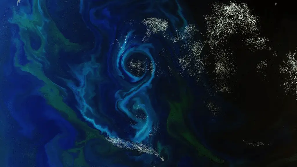 Il plancton si adatta al cambiamento climatico: uno studio globale rivela come %il plancton si adatta al cambiamento climatico: uno studio globale rivela comecount(title)% Il plancton si adatta al cambiamento climatico: uno studio globale rivela come