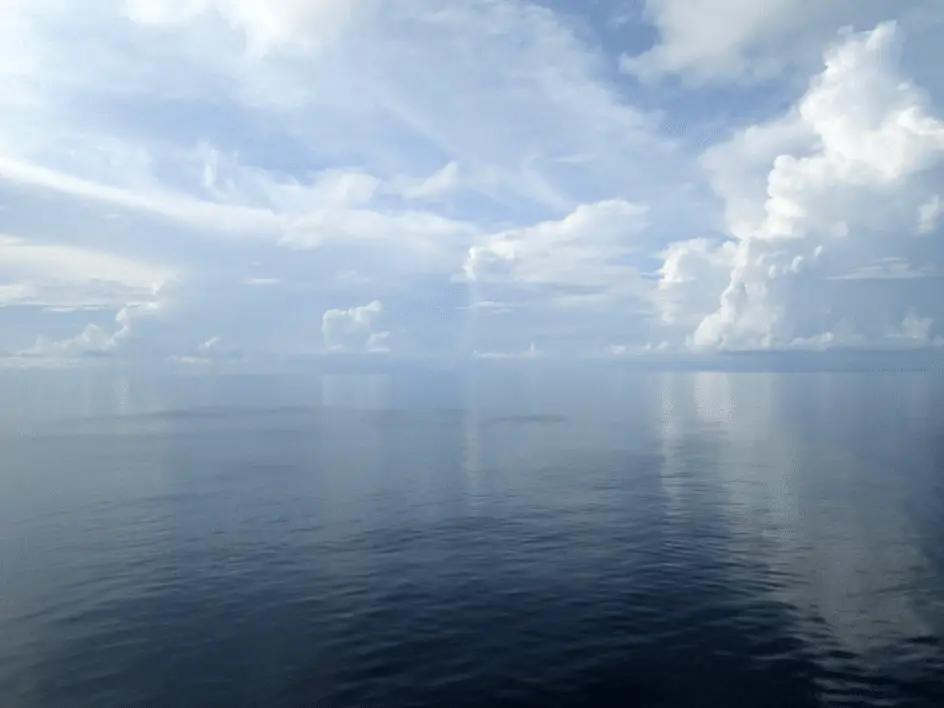 Oceani sempre più oscuri: in 20 anni persi chilometri di luce marina %oceani sempre più oscuri: in 20 anni persi chilometri di luce marinacount(title)% Oceani sempre più oscuri: in 20 anni persi chilometri di luce marina