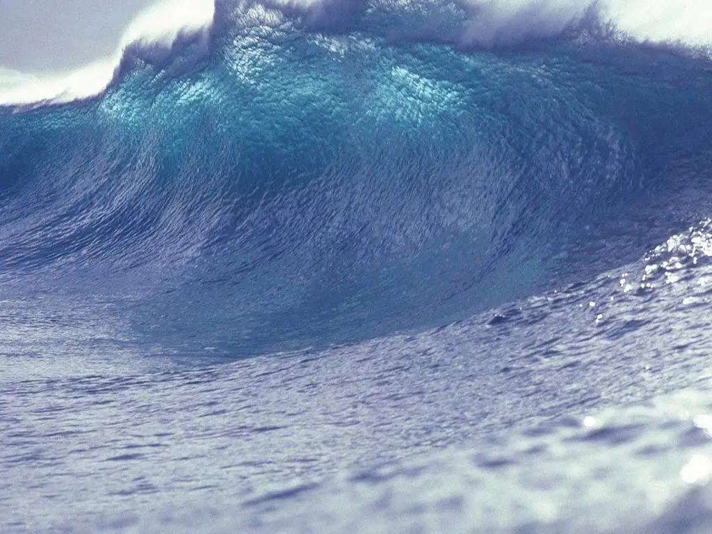 Scoperto per la prima volta uno tsunami da frana usando il gps di una nave %scoperto per la prima volta uno tsunami da frana usando il gps di una navecount(title)% Scoperto per la prima volta uno tsunami da frana usando il gps di una nave